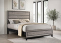Watson Wood Queen Panel Bed Light Taupe